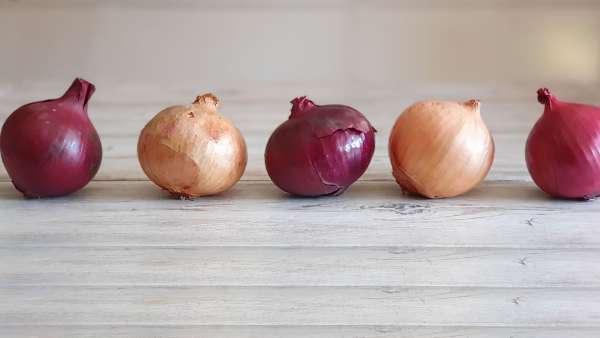 Uien en hun voordelen voor de gezondheid, foto 6