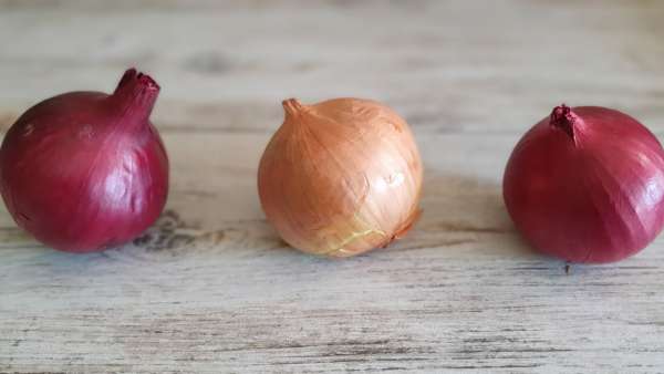 Uien en hun voordelen voor de gezondheid, foto 8