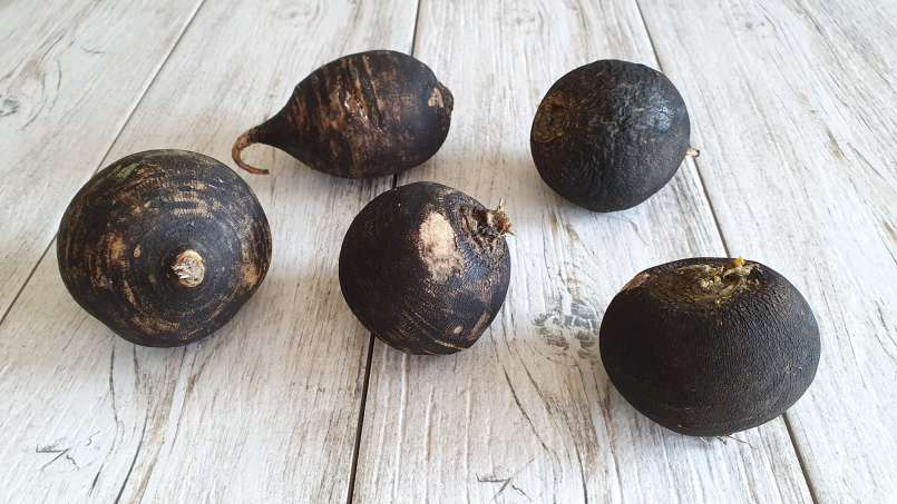 Ridichea - een wondermiddel, foto 1