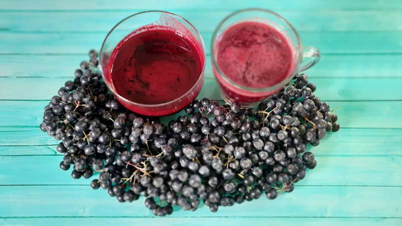 Aronia siroop met gember en honing, foto 10