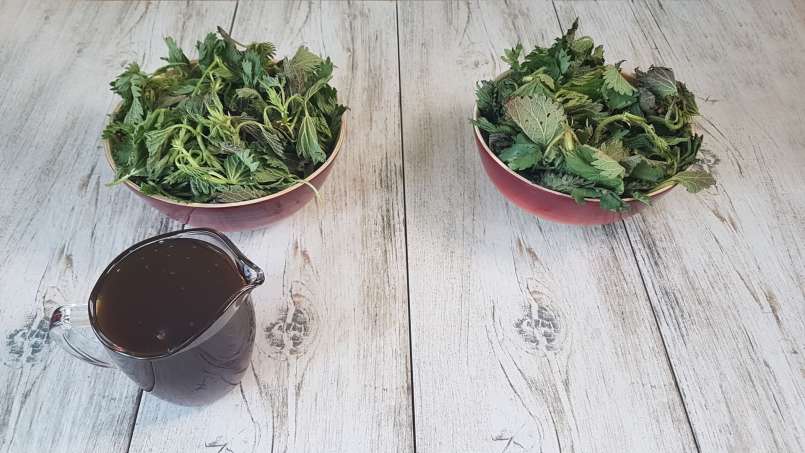 Brandnetelsiroop met honing, foto 4