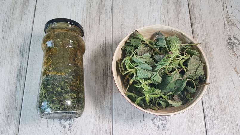 Brandnetelsiroop met honing, foto 6
