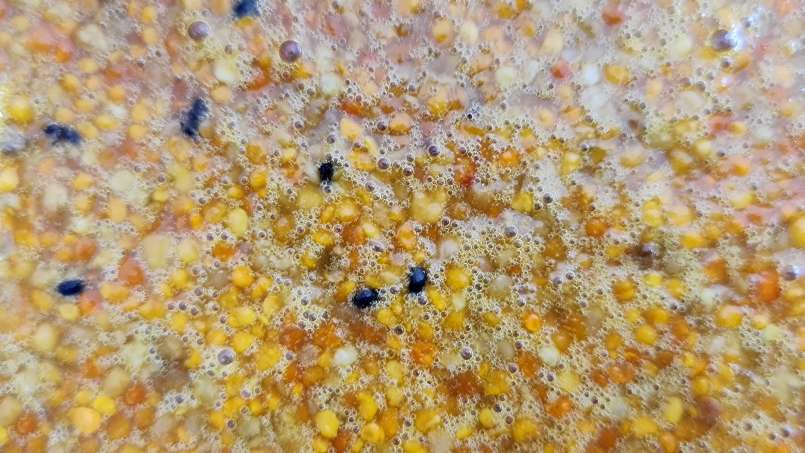 Bijencocktail - een natuurlijke immuunversterker en energizer, foto 9