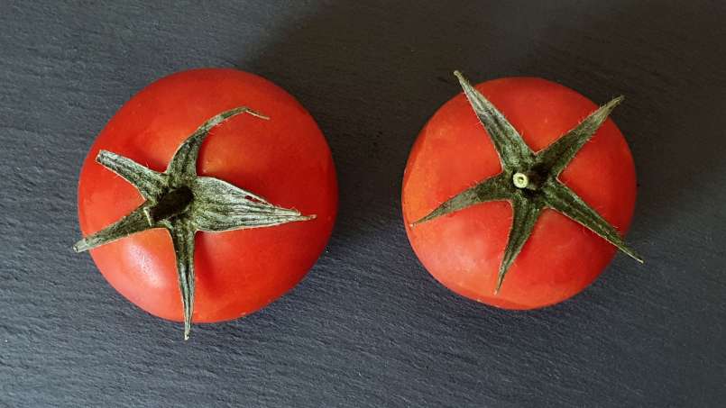 Vers tomatensap met honing om botten en gewrichten te versterken, foto 1