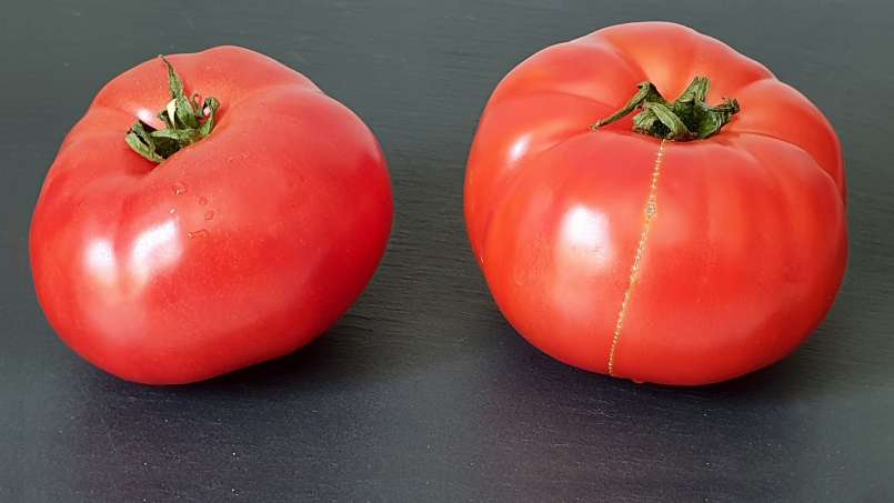 Vers tomatensap met honing om botten en gewrichten te versterken, foto 2