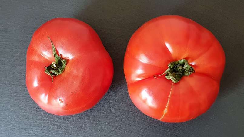 Vers tomatensap met honing om botten en gewrichten te versterken, foto 3