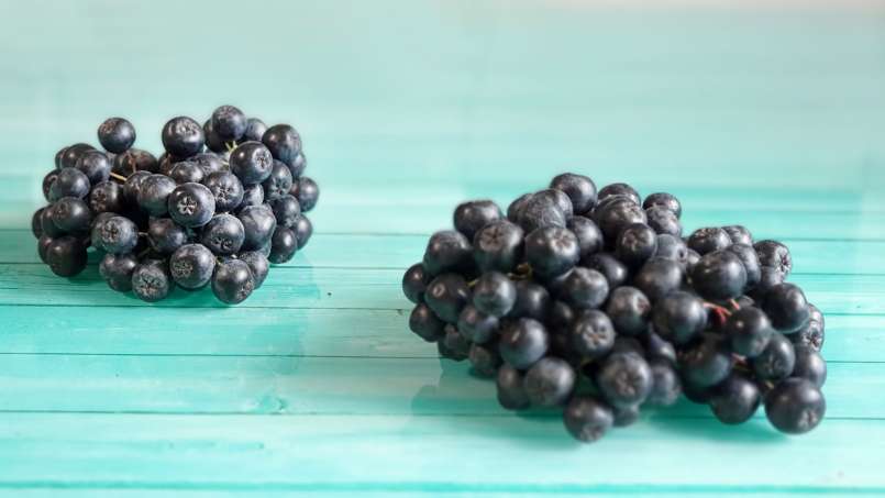 Aronia siroop met honing, foto 9