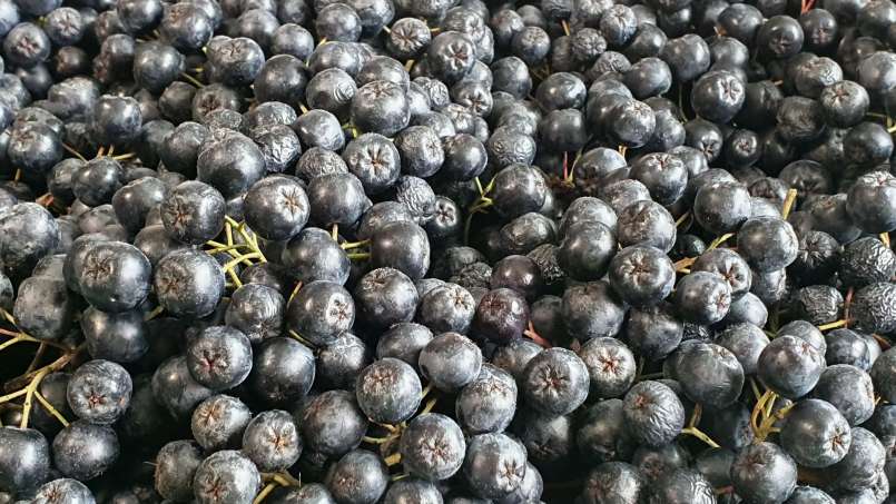 Aronia siroop met honing, foto 10