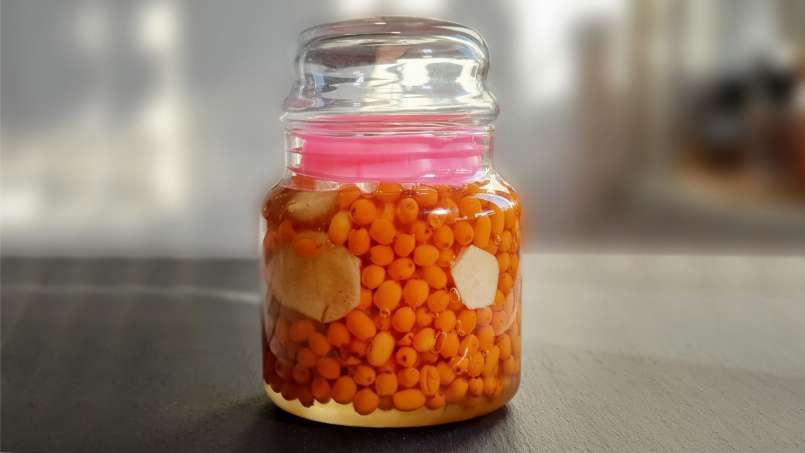 Duindoornmaceraat met gember en honing, foto 5