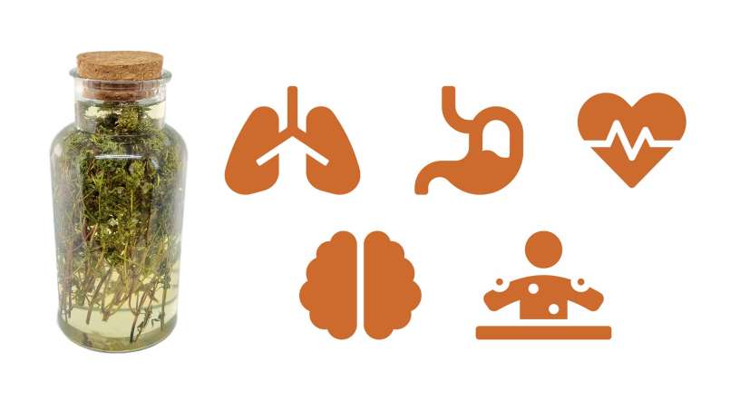 Tijm maceraat met honing, foto 1