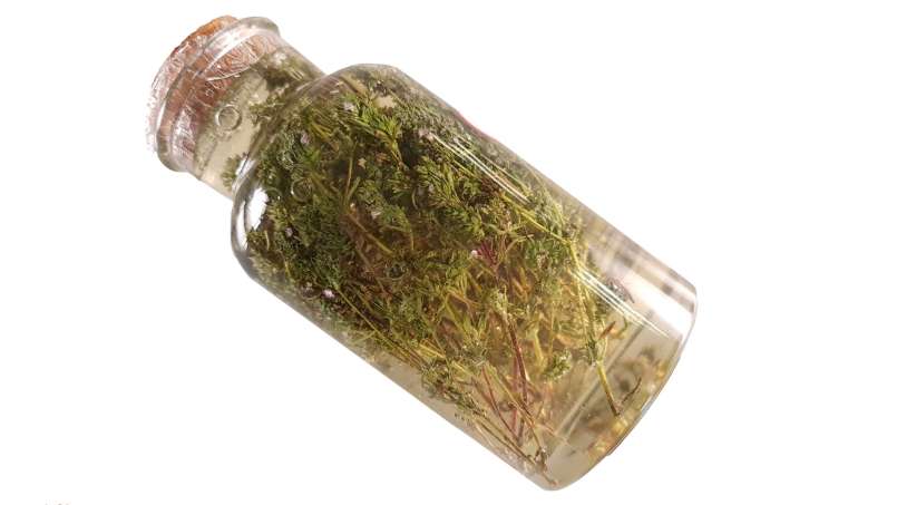 Tijm maceraat met honing, foto 4