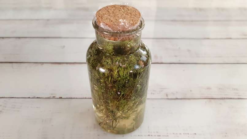 Tijm maceraat met honing, foto 6