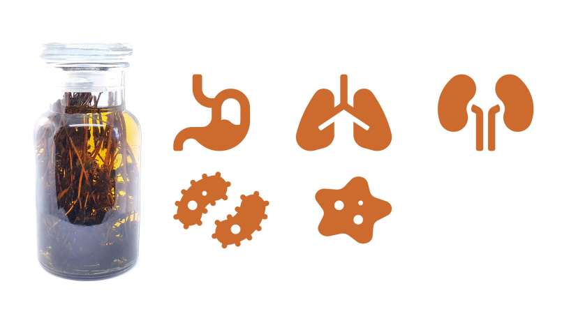 Tinctuur van tijm, foto 1