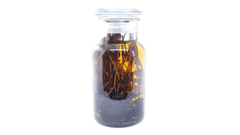 Tinctuur van tijm, foto 2