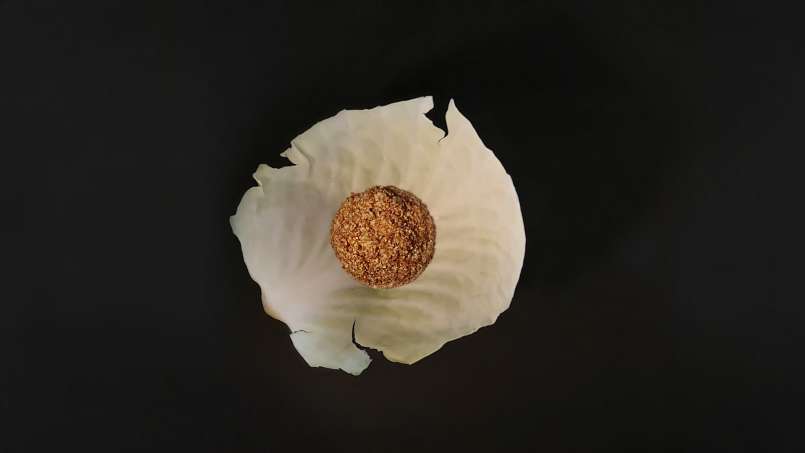 Kompres met loys en koolbladeren, foto 9