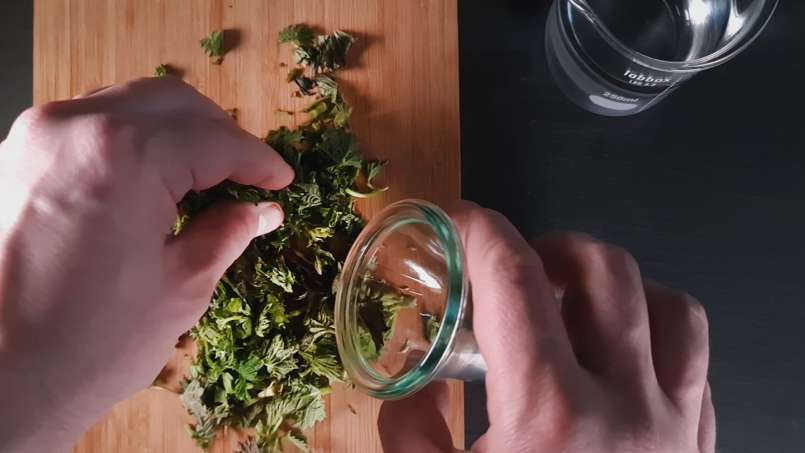 Brandneteltinctuur, foto 2