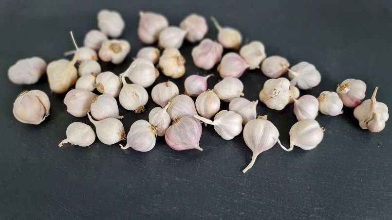 Hele knoflook in de ochtend op een lege maag, foto 6